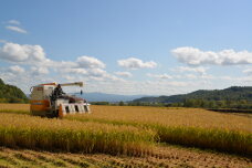 北海道新十津川町