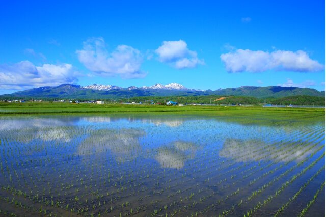 ふるさと納税 北海道新十津川町（ほっかいどうしんとつかわちょう