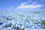 茨城県ひたちなか市