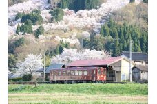 鳥取県八頭町