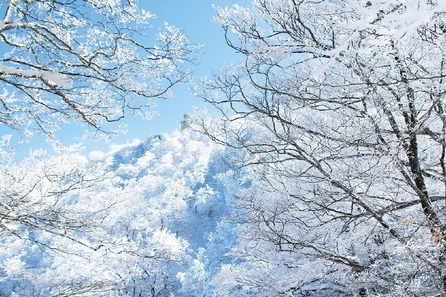 剣山付近樹氷