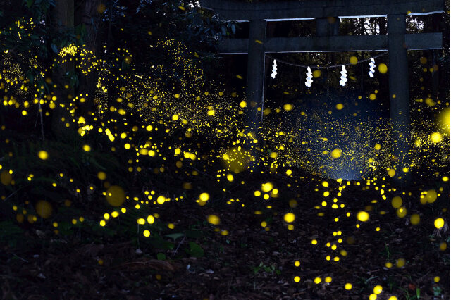 ふるさと納税 福岡県鞍手町（ふくおかけんくらてまち） - ふるさと納税の「ふるさとぷらす」