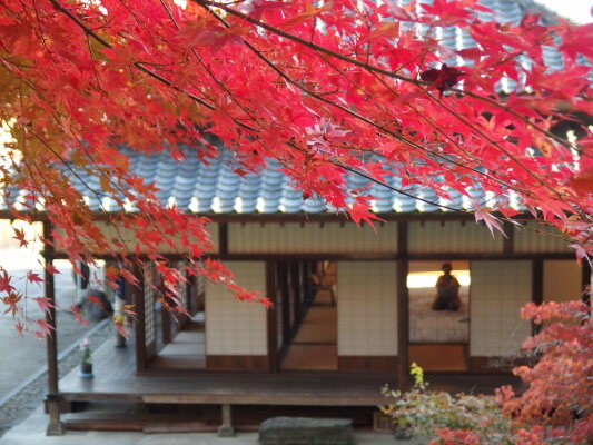 色づく紅葉に飾られた史跡、豊前街道南関御茶屋跡（秋）