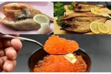【年6回隔月定期便】五十集屋で大人気の3大美味セット(オホーツク海産・網走加工　数量限定)