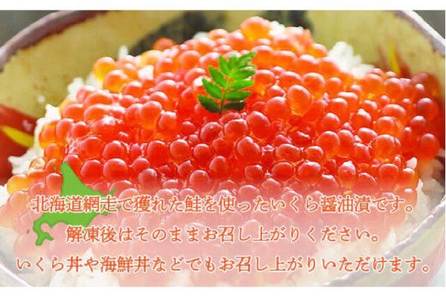 ふるさと納税 「＜網走産＞冷凍いくら醤油漬 500g ABE008」 北海道網走