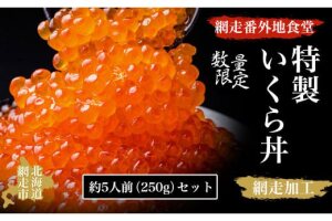 【数量限定】網走番外地食堂特製いくら丼約5人前セット（網走加工） ABAO2091