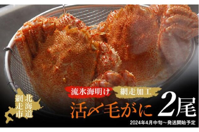 ふるさと納税 北海道 網走市 網走産 生エゾばふんうに 冷蔵100g×2折