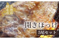 開きほっけ5尾セット 魚 北海道 ABAO008