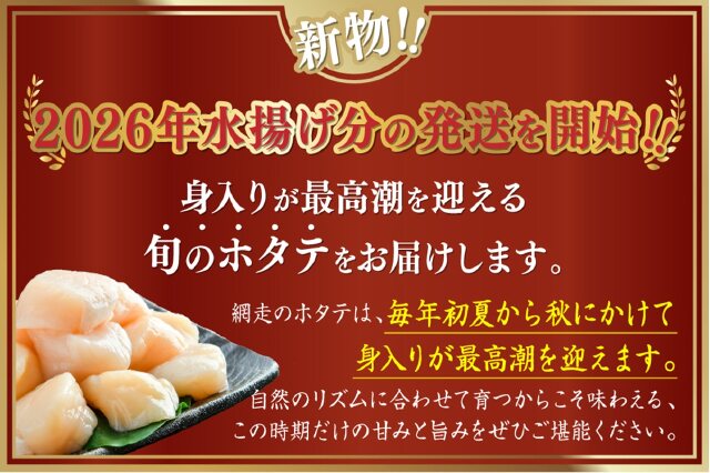 ふるさと納税 「＜網走前浜産＞無添加ホタテ貝柱【 1.5kg (300gパック