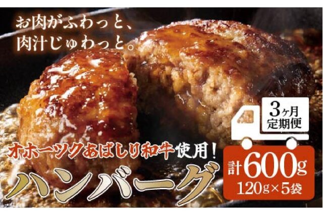 ふるさと納税 ＜網走産＞ハンバーグ・総重量 600g（120g×5個） ABW016 北海道網走市 ふるさと納税 「＜網走産＞オホーツクあばしり和牛ハンバーグ・総