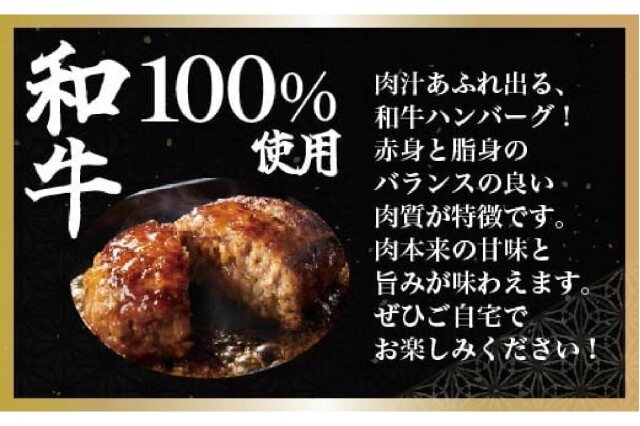 ふるさと納税 ＜網走産＞ハンバーグ・総重量 600g（120g×5個） ABW016 北海道網走市 ふるさと納税 「＜網走産＞オホーツクあばしり和牛ハンバーグ・総