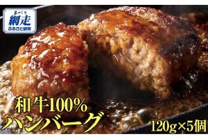 ＜網走産＞【オホーツクあばしり和牛】ハンバーグ・総重量 600g（120g×5個） ABW016