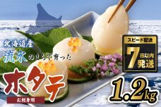 網走前浜産 無添加ホタテ貝柱【 1.2kg (300g×4) 】 ABAI031