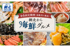 【定期便】<奇数月に発送>網走から海鮮グルメ 全6回 ABAO076