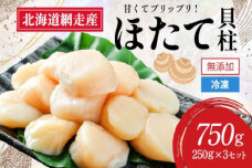 【新物先行予約】網走前浜産 無添加ホタテ貝柱【 750g (250g×3) 】 ABAI032