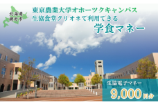 東京農業大学オホーツクキャンパス生協食堂で利用できる「学食マネー」 9,000円分 ABBF003