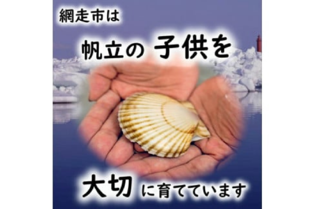7年度★北海道産★アジサイ・大量160サイズ箱 一杯 ヘッド大小105個位前後 特大ボイルほたて800g前後