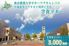 東京農業大学オホーツクキャンパス生協食堂で利用できる「学食マネー」 3,000円分 ABBF001