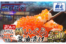 【訳あり】かにや特製鱒いくら醤油漬け1箱250g化粧箱入り ABAO108