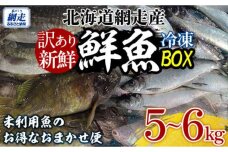 【訳あり】網走産冷凍鮮魚BOX～未利用魚の有効活用（漁業生産者応援企画）～ ABAE011