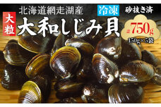 網走湖産「大和しじみ貝」750g（150g×5） ABC035