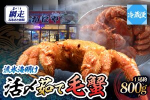 流氷海明け・活〆茹で特大毛蟹1尾約800g冷蔵便届け ABAO110