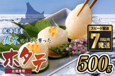 網走前浜産 無添加ホタテ貝柱【 500g (500g×1) 】 ABAI038