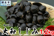 網走湖産 天然大粒 大和しじみ 1.2kg ※着日指定不可  ABX072