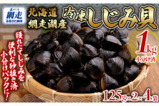 網走湖産冷凍しじみ貝小分け済み1kg（125g×2）×4袋  ABB146