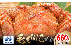 網走産 毛がに660g前後×1尾 網走産 ABW106