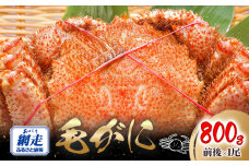 網走産 毛がに800g前後×1尾 ABW108