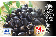 網走湖産 砂出し大和しじみ 1.4kg(200g×7） ABW116