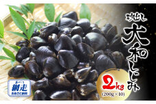 網走湖産 砂出し大和しじみ 2kg(200g×10） ABW117