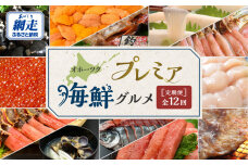 【定期便】オホーツクプレミア海鮮グルメ 全12回 ABAO2205