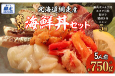 贅沢 網走海鮮丼セット「5人前」 ABJ023