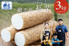 長芋 3kg ABBX001