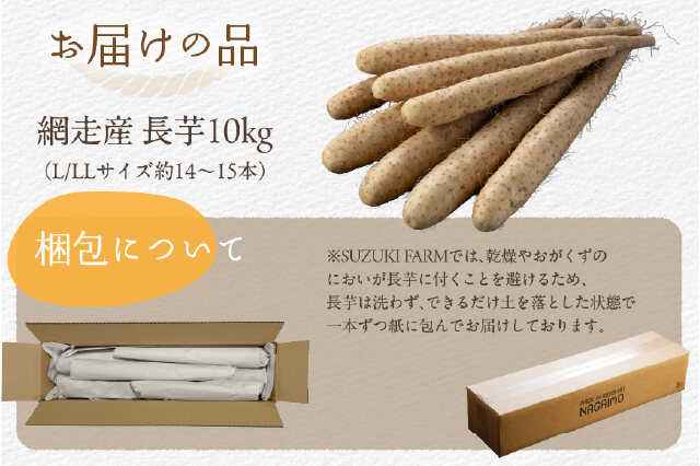 ふるさと納税 「【先行予約】長芋 10kg（2026年11月下旬以降順次発送