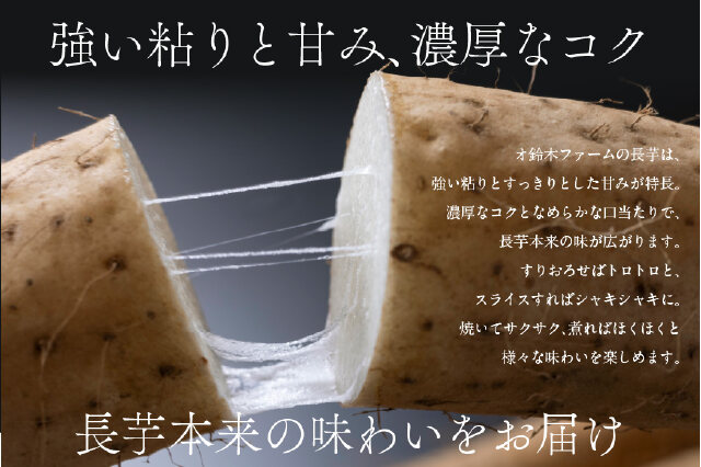 ふるさと納税 「【先行予約】長芋 10kg（2026年11月下旬以降順次発送
