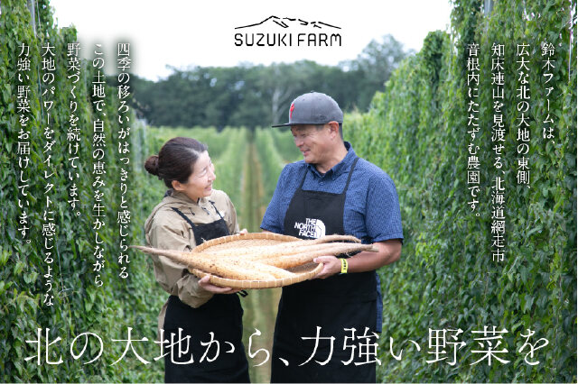 ふるさと納税 「【先行予約】長芋 10kg（2026年11月下旬以降順次発送