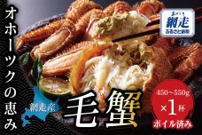 【網走産】オホーツクの恵み 毛蟹 450〜550g × 1杯｜ボイル済 冷凍 毛ガニ ABBI014