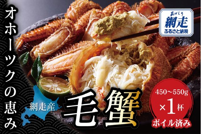 ふるさと納税 「【網走産】オホーツクの恵み 毛蟹 450〜550g × 1杯