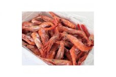 北海道産お刺身用甘えび(殻付き)約500g(40尾前後)