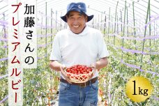 加藤さんのプレミアムルビー　1kg　北海道産高糖度フルーツミニトマト