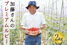 加藤さんのプレミアムルビー　2kg　北海道産高糖度フルーツミニトマト