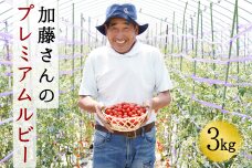 加藤さんのプレミアムルビー　3kg　北海道産高糖度フルーツミニトマト