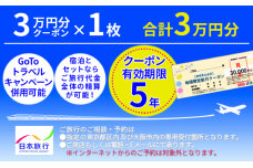 日本旅行 地域限定旅行クーポン【30,000円分】旅行券 観光 北海道 旅行 ニセコ 倶知安町