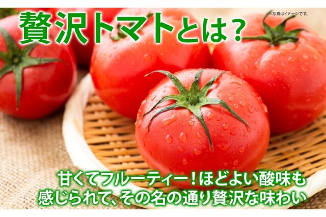 正規店通販【購入しないでください】贅沢トマト 野菜