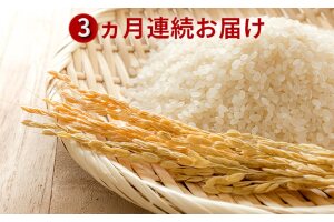 【3ヶ月定期便】令和2年産北海道倶知安産ななつぼし5kg