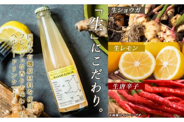 ふるさと納税 「北海道 自家製 ジンジャービア 200ml×12本 HAKKO