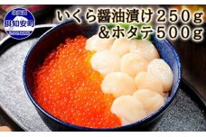 お店で手作り！北海道産いくら醤油漬【250g】と北海道産のホタテ貝柱玉冷 刺身用【500g】